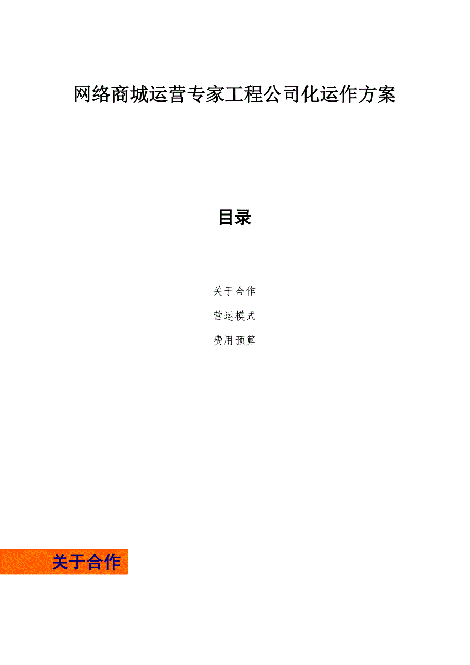 网络商城运营专家项目公司化运作计划书_第1页