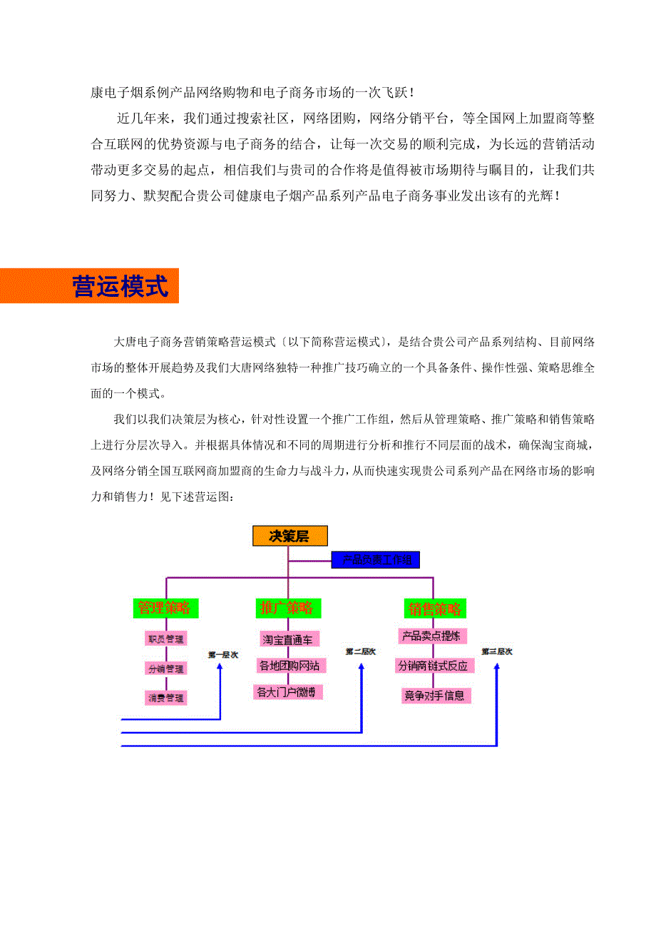 网络商城运营专家项目公司化运作计划书_第3页