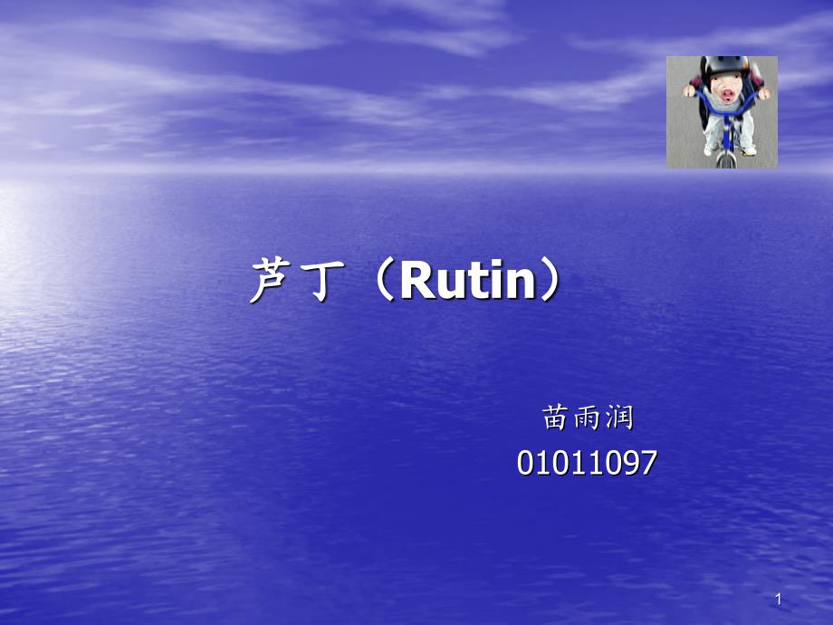 芦丁RutinPPT精品文档_第1页