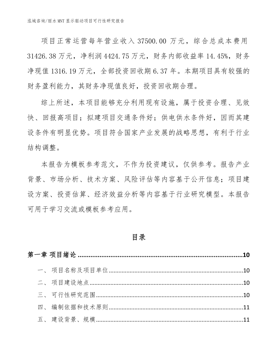 丽水MNT显示驱动项目可行性研究报告_第3页