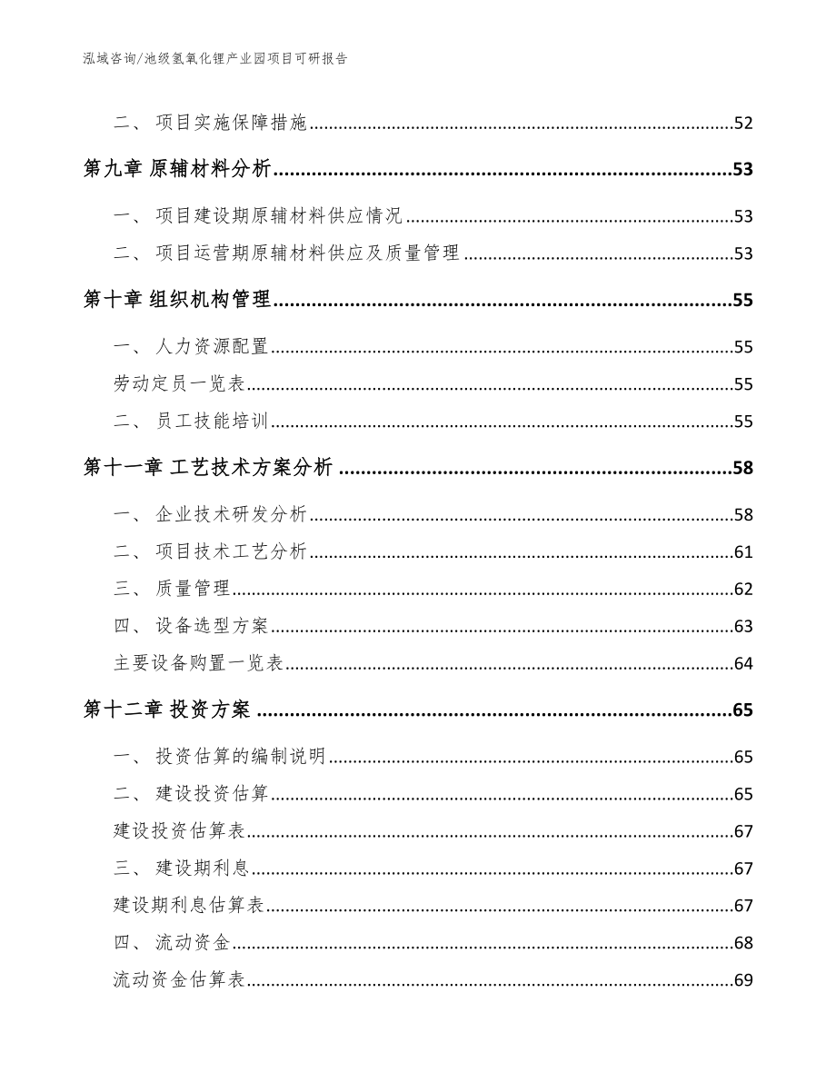 池级氢氧化锂产业园项目可研报告（模板范文）_第4页