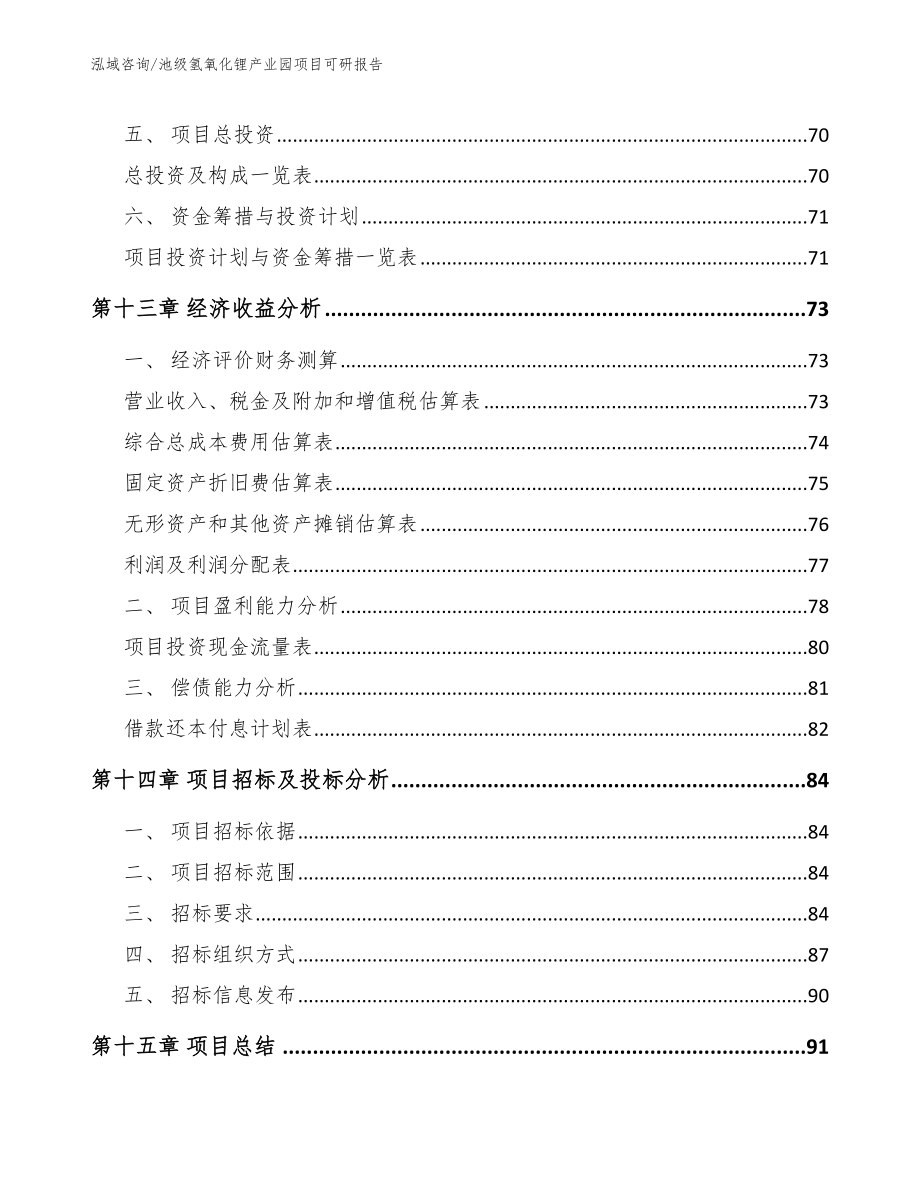 池级氢氧化锂产业园项目可研报告（模板范文）_第5页