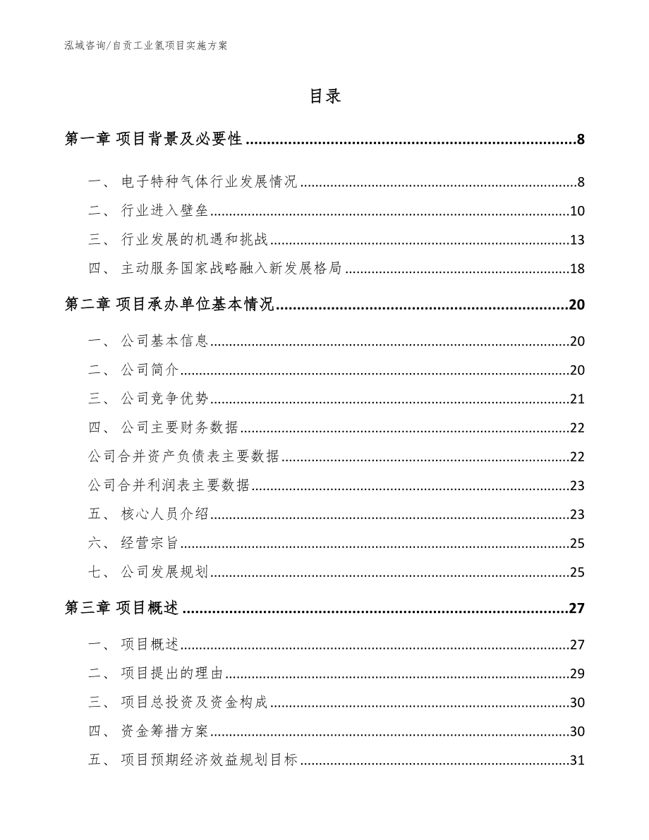 自贡工业氢项目实施方案_模板范本_第2页