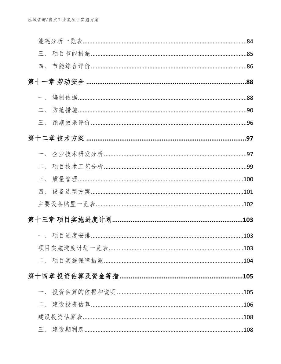 自贡工业氢项目实施方案_模板范本_第5页