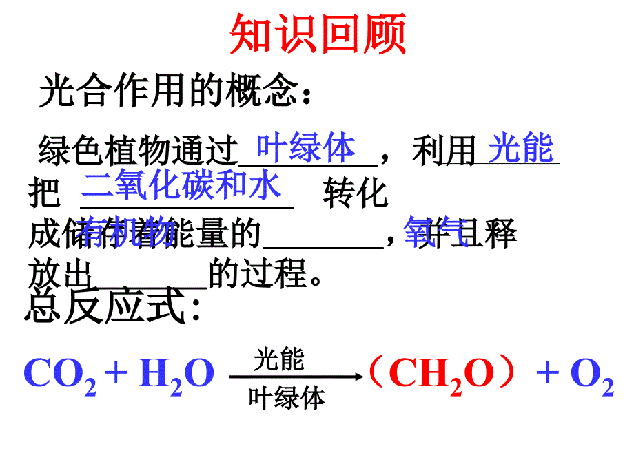 光合作用的过程(最新)_第3页