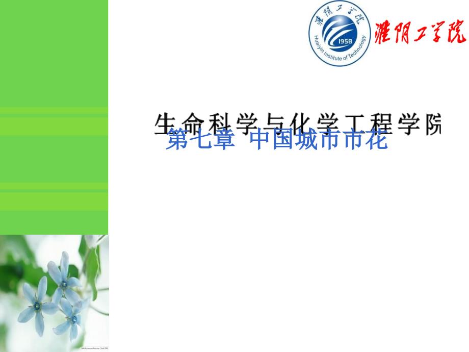 最新-第七章花卉欣赏与健康(中国城市市花)-PPT课件_第1页