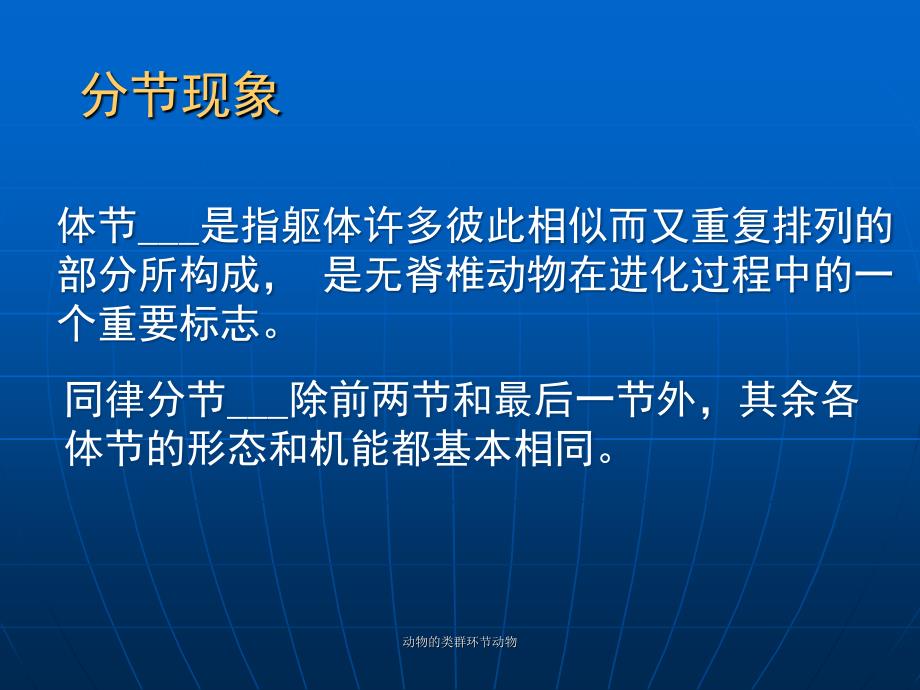 动物的类群环节动物课件_第3页