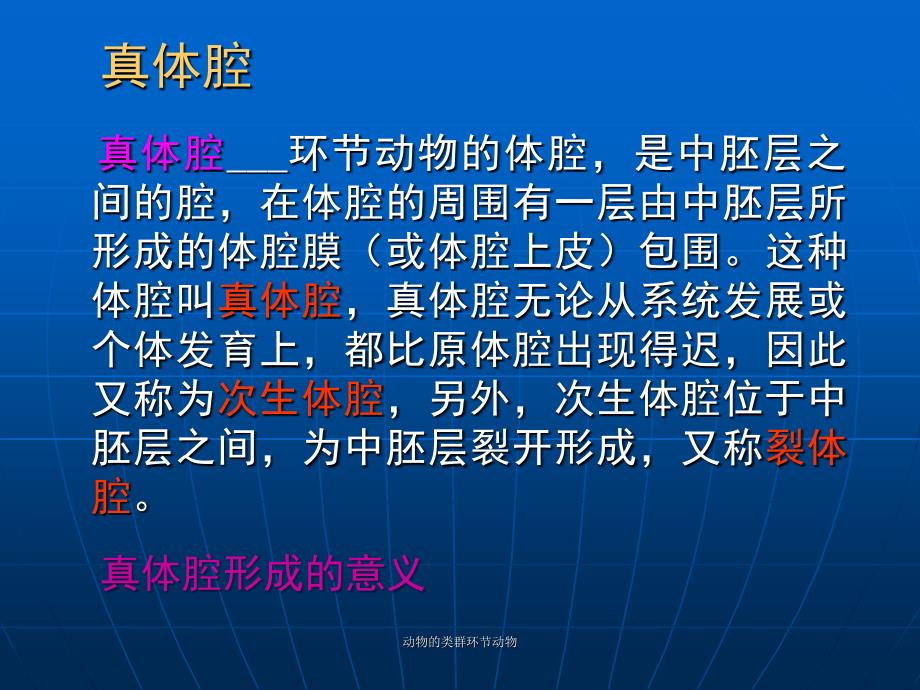 动物的类群环节动物课件_第4页