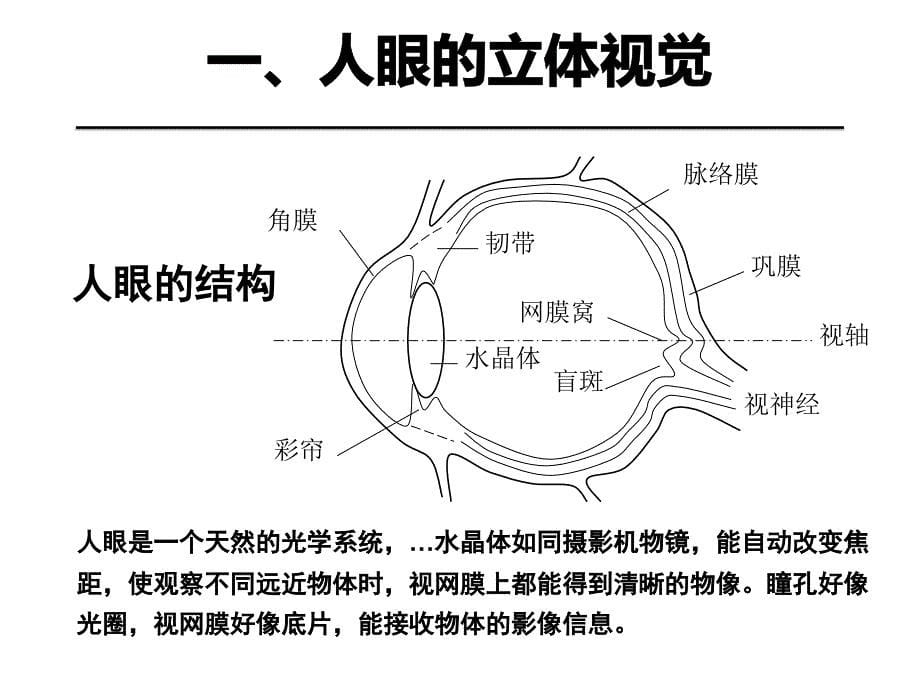 YNPhotogrammetry033.1人眼的立体视觉和立体观测_第5页