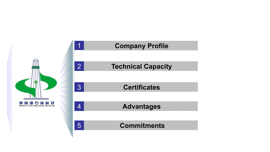 Company-ProfilePPT优秀课件_第2页