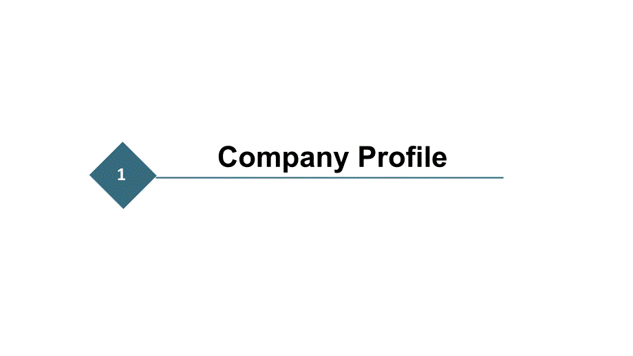 Company-ProfilePPT优秀课件_第3页