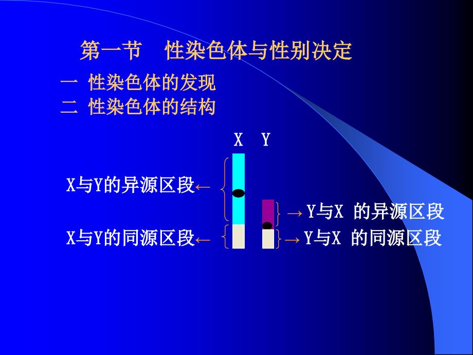 连锁遗传分析与染色体作图PowerPointPres_第2页