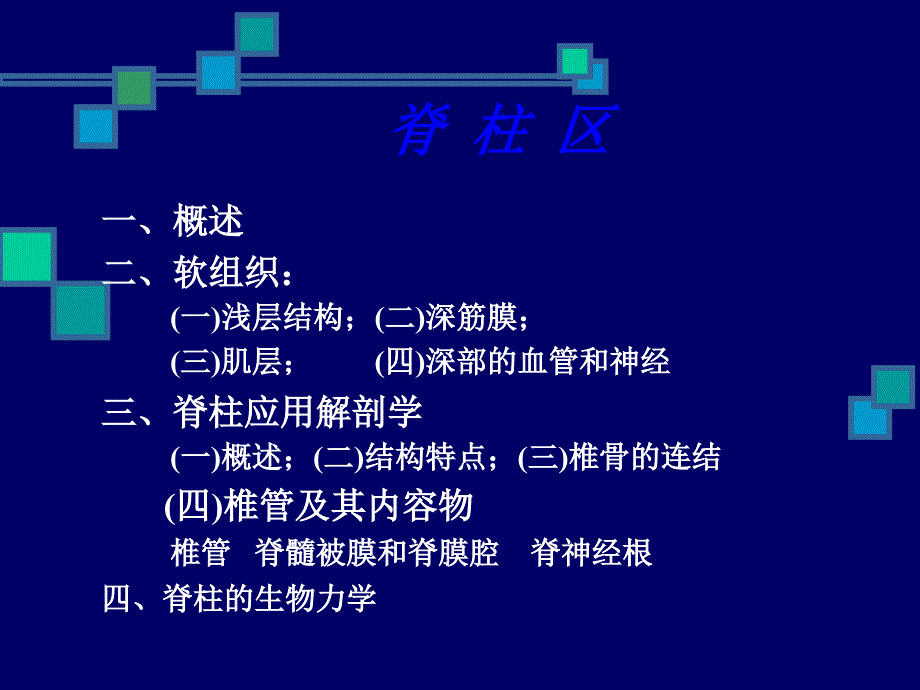 脊柱区解剖ppt课件_第2页