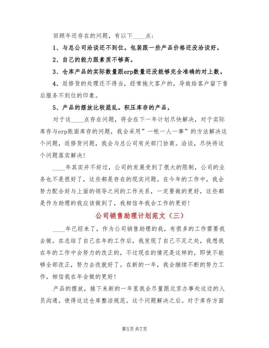 公司销售助理计划范文(3篇)_第5页