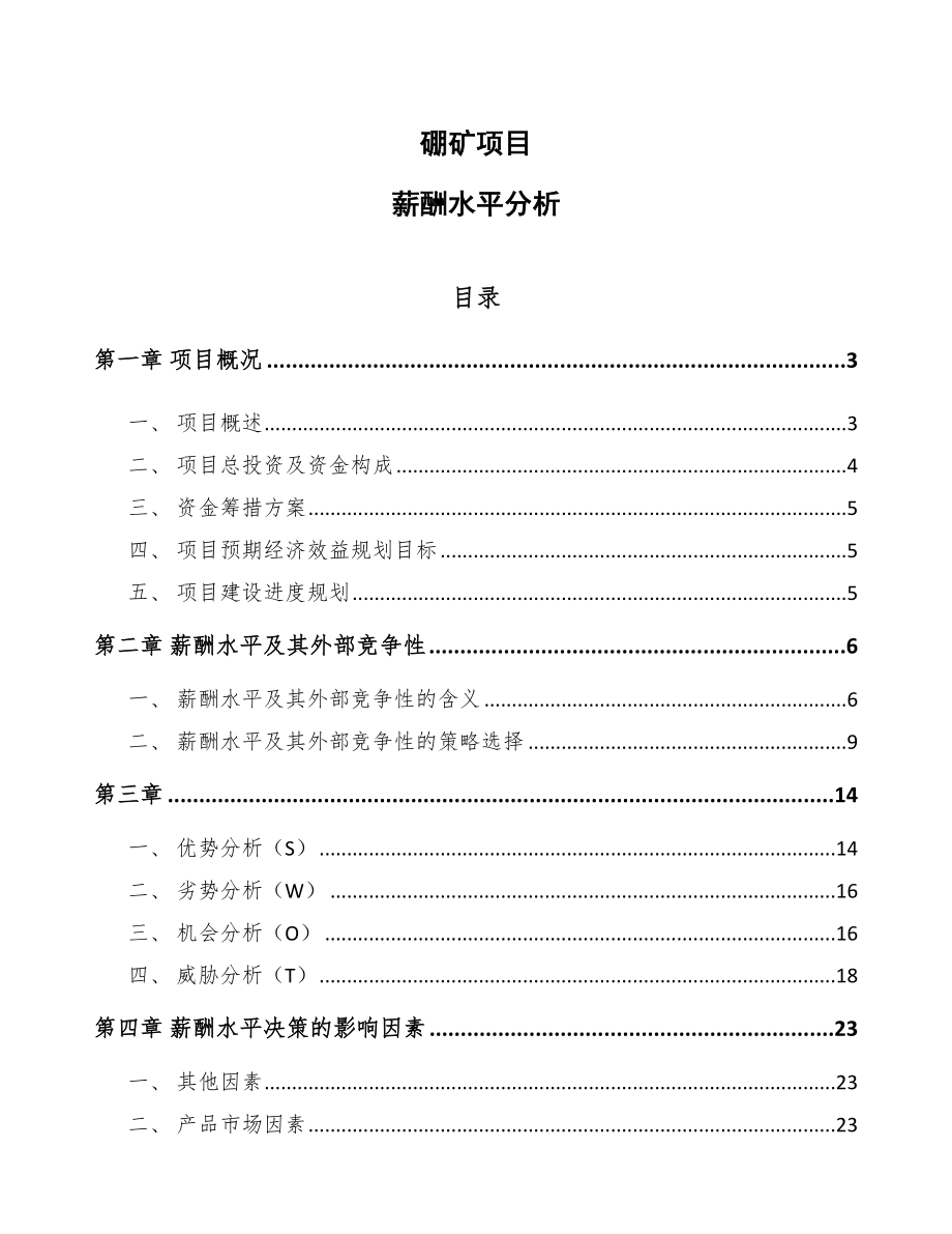 硼矿项目薪酬水平分析（参考）_第1页