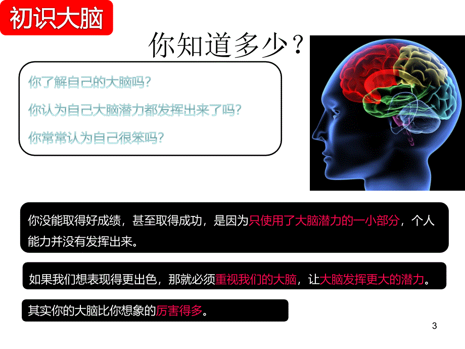 大脑思维导图ppt课件_第3页