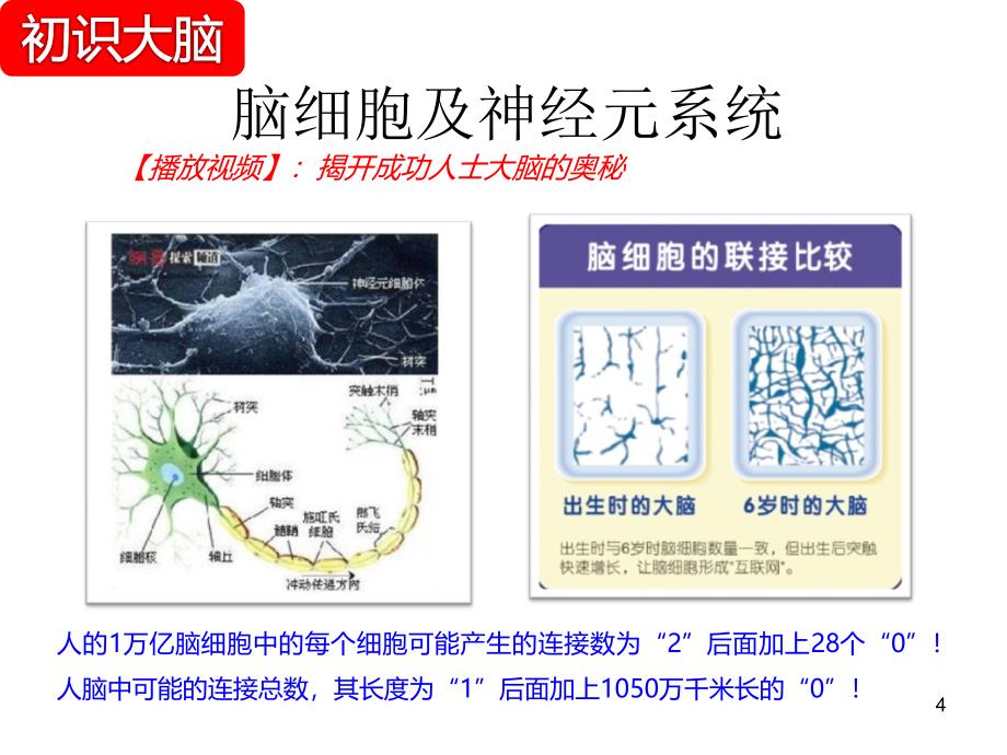 大脑思维导图ppt课件_第4页