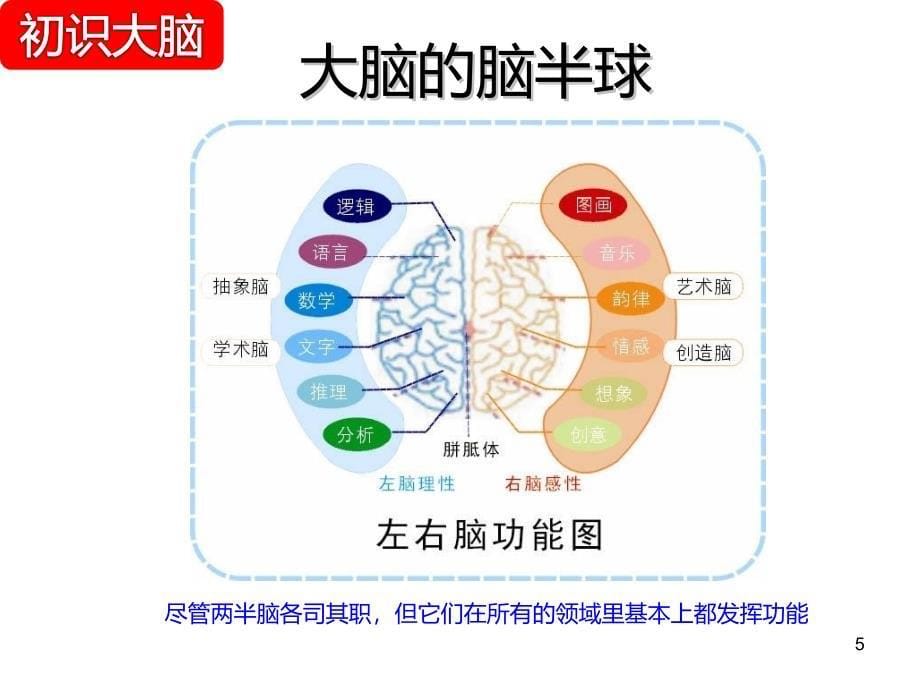 大脑思维导图ppt课件_第5页