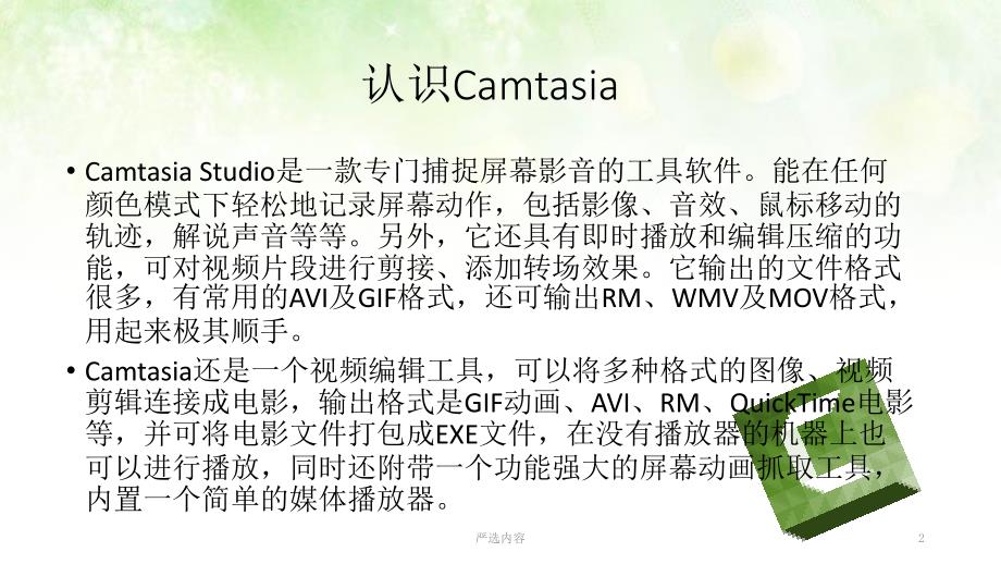 Camtasia功能介绍优选内容_第2页