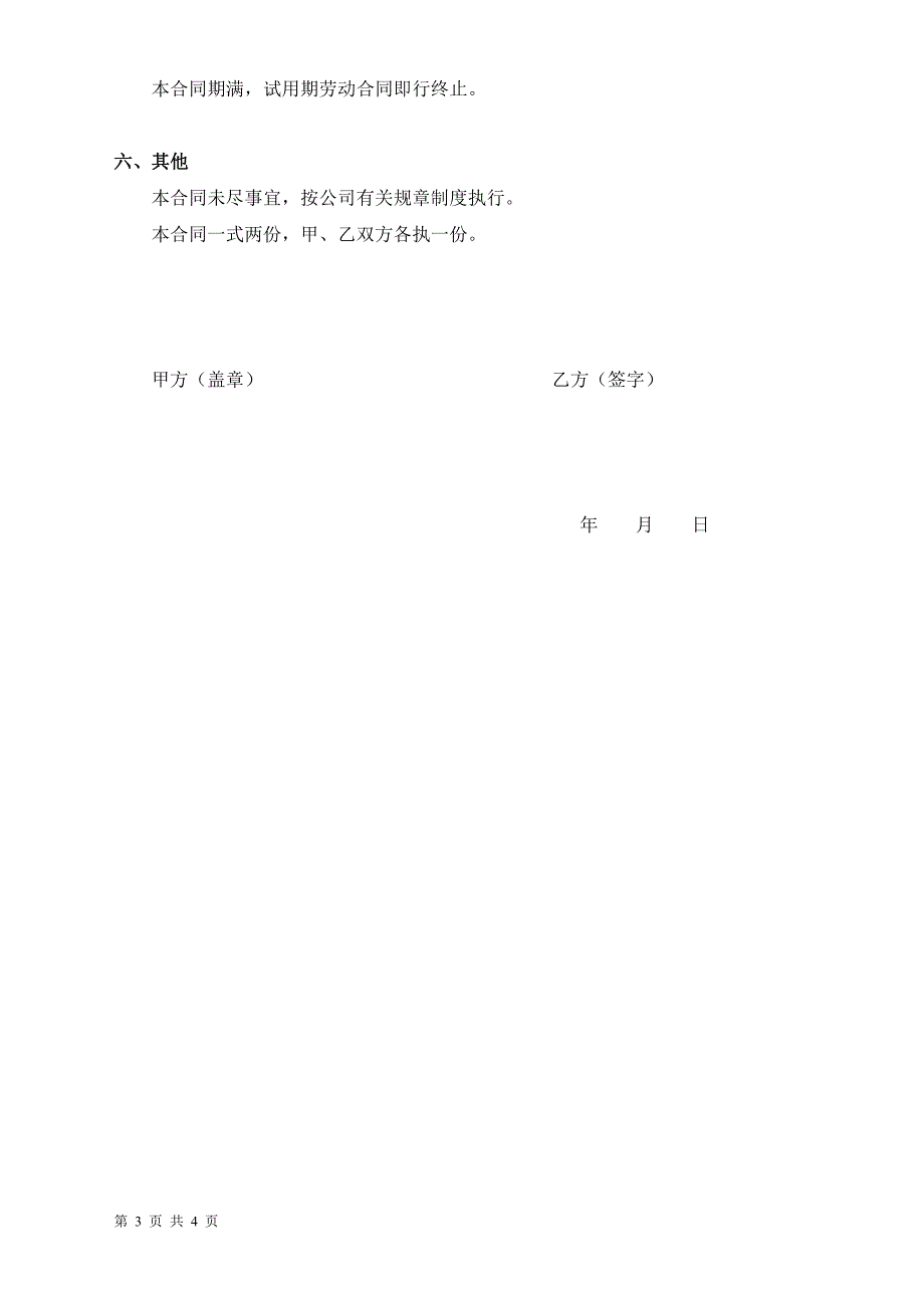 销售人员试用期劳动合同.docx_第3页