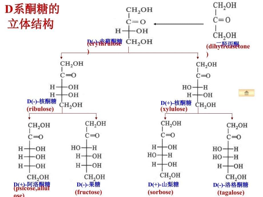 第22章糖酵解_第5页