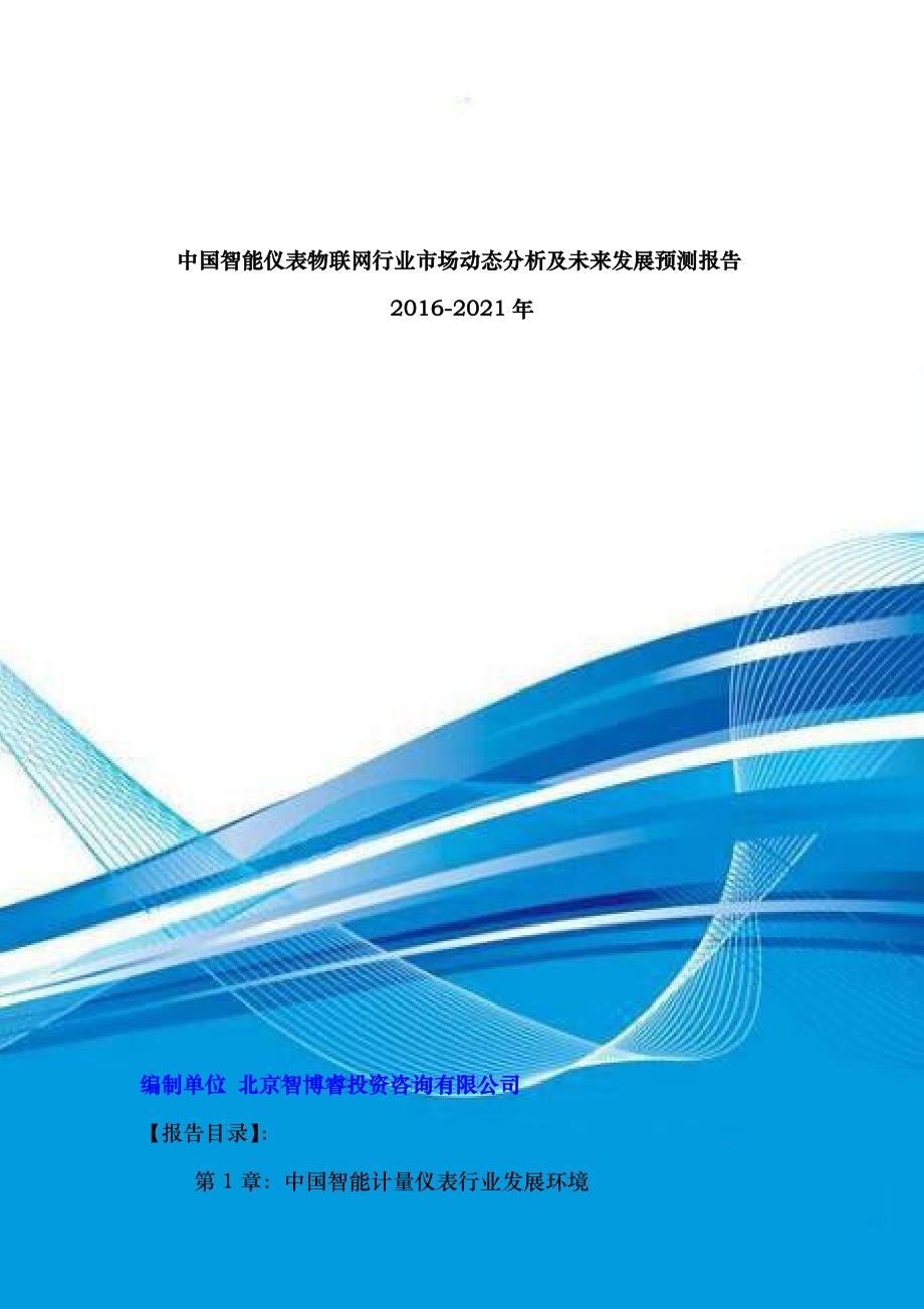 智能仪表物联网行业市场动态分析及未来发展预测_第1页