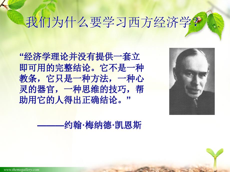 《经济与经济学》PPT课件.ppt_第4页