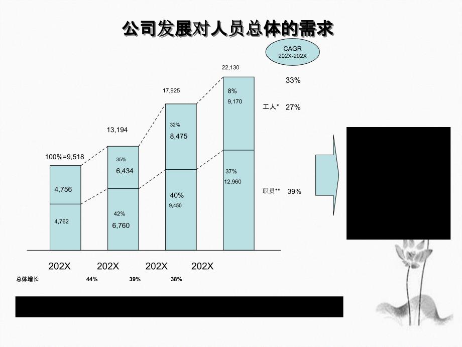 人力资源三年规划详细课件_第4页