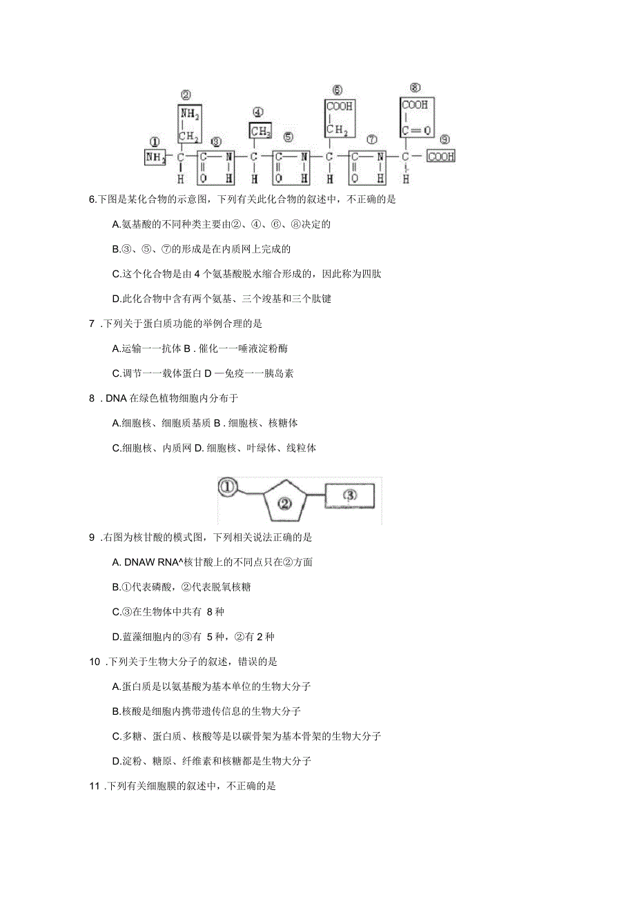 江苏省大丰市新丰中学2018-2019学年高一生物上学期期中试题_第2页