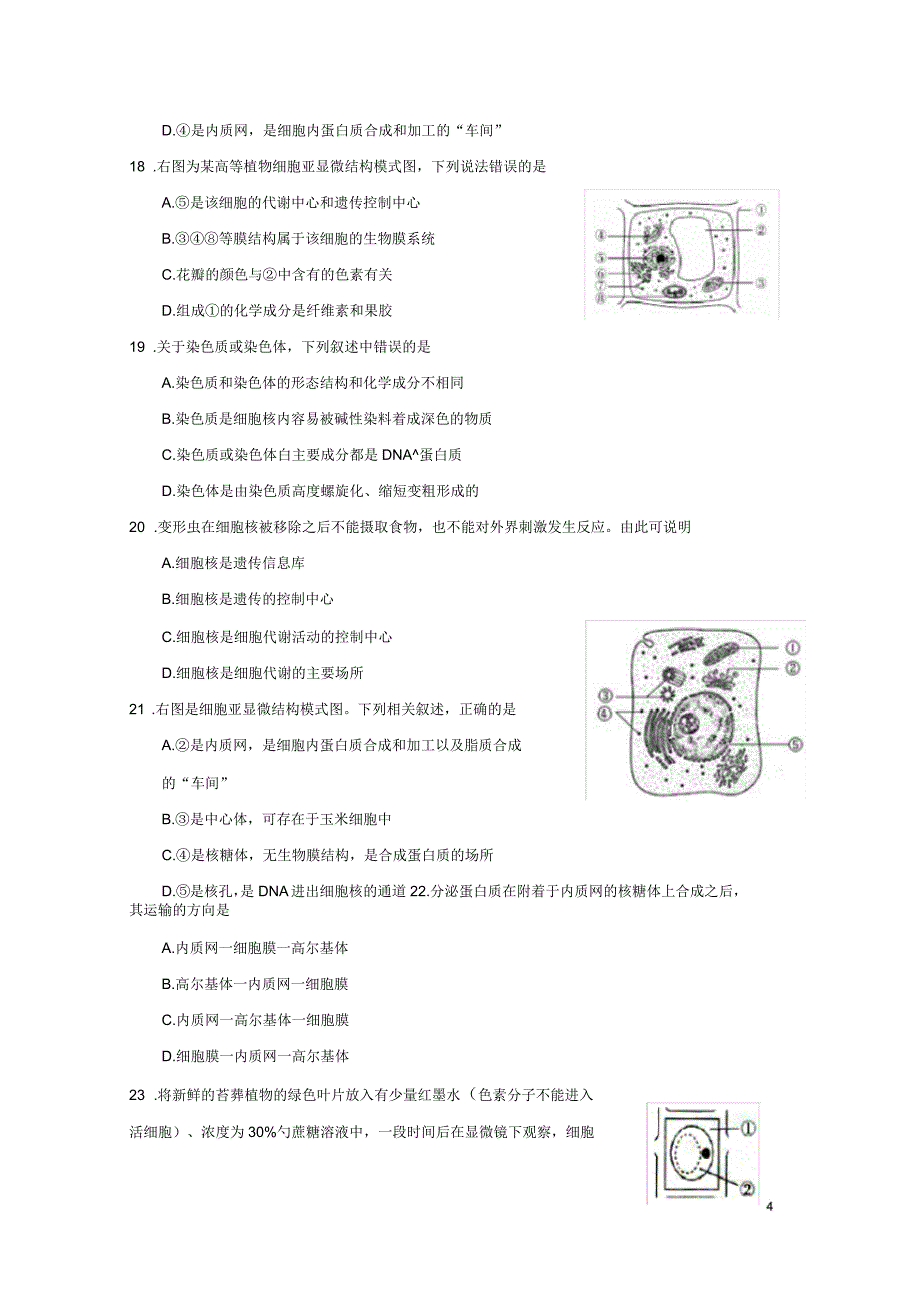 江苏省大丰市新丰中学2018-2019学年高一生物上学期期中试题_第4页