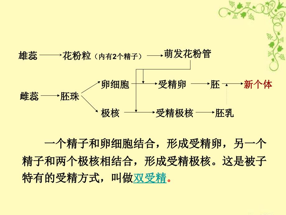 孟德尔的豌豆杂交实验(1.1)_第3页