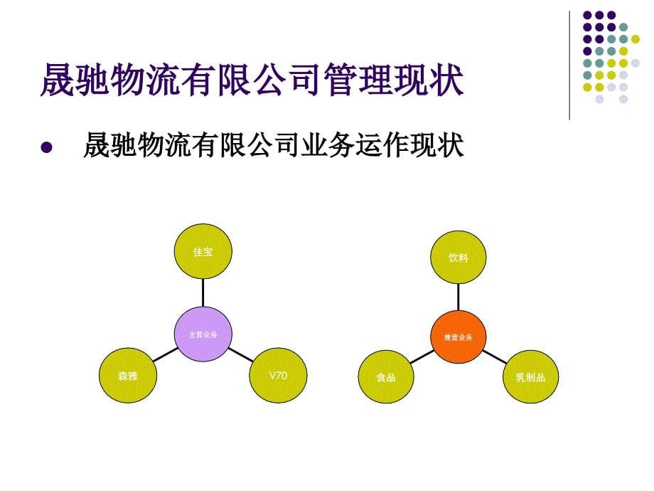 浅析晟驰物流公司管理现状_第5页