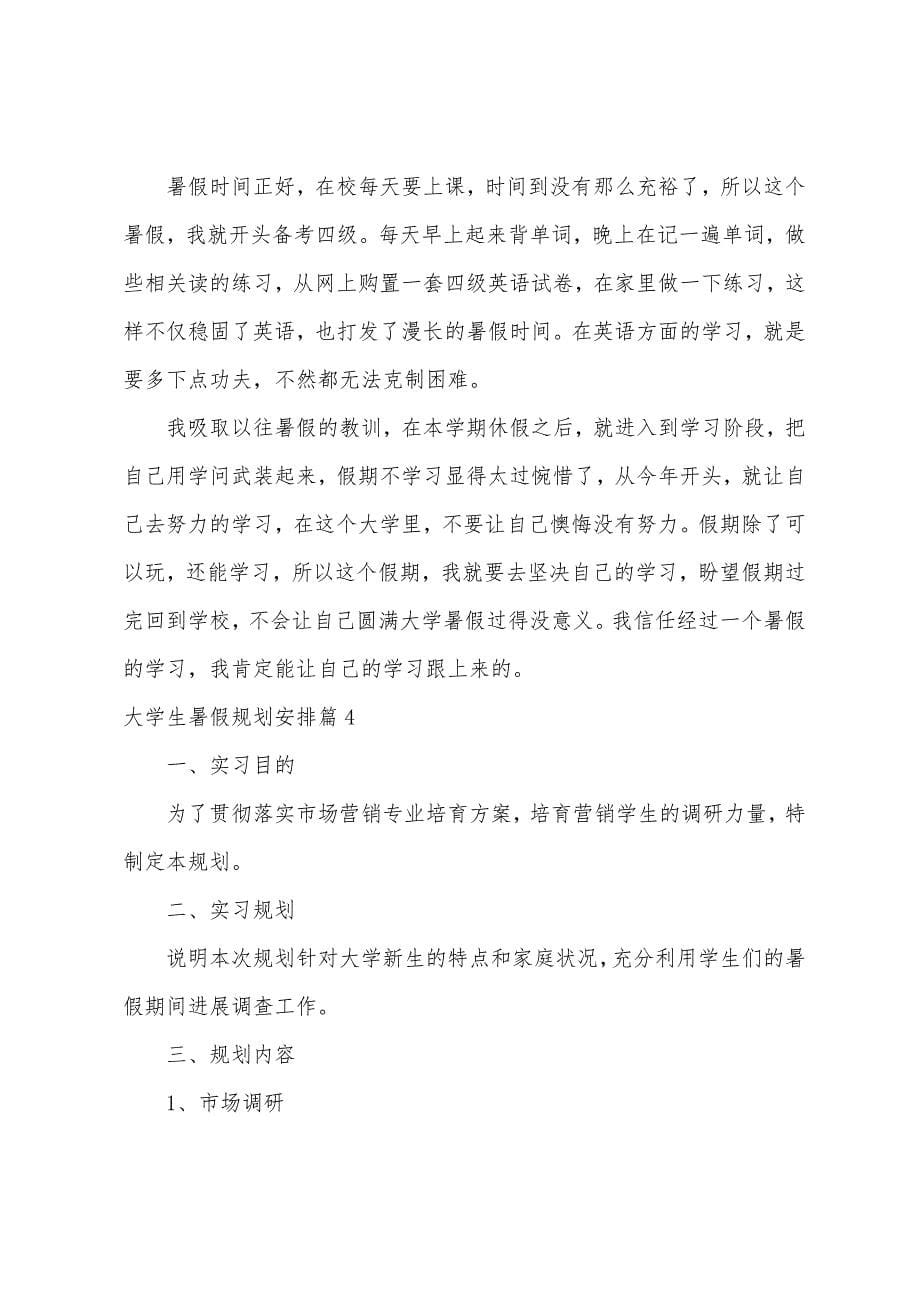 大学生暑假计划安排8篇.docx_第5页