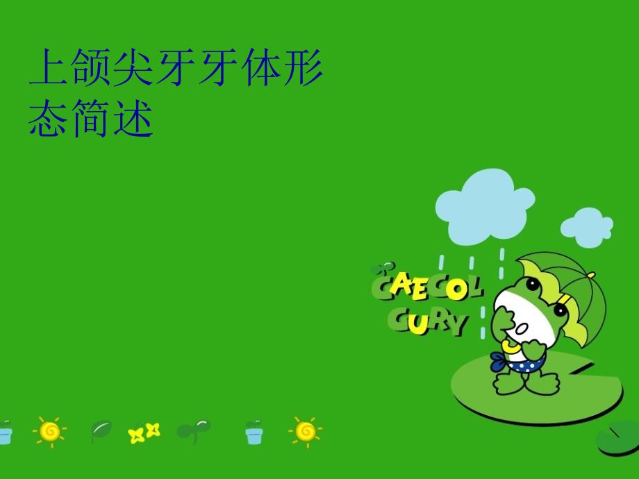 上颌尖牙牙体形态简述教学提纲_第1页