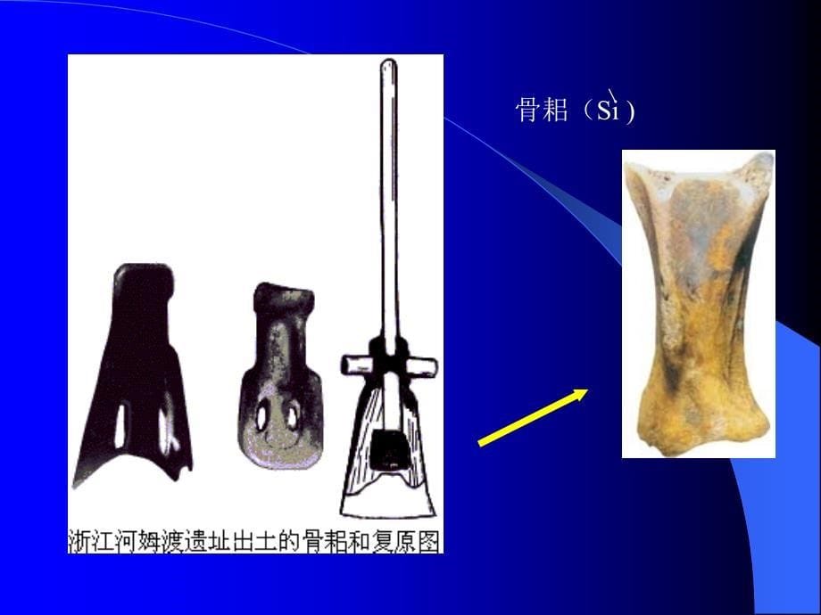 第二课原始的农耕生活l706_第5页