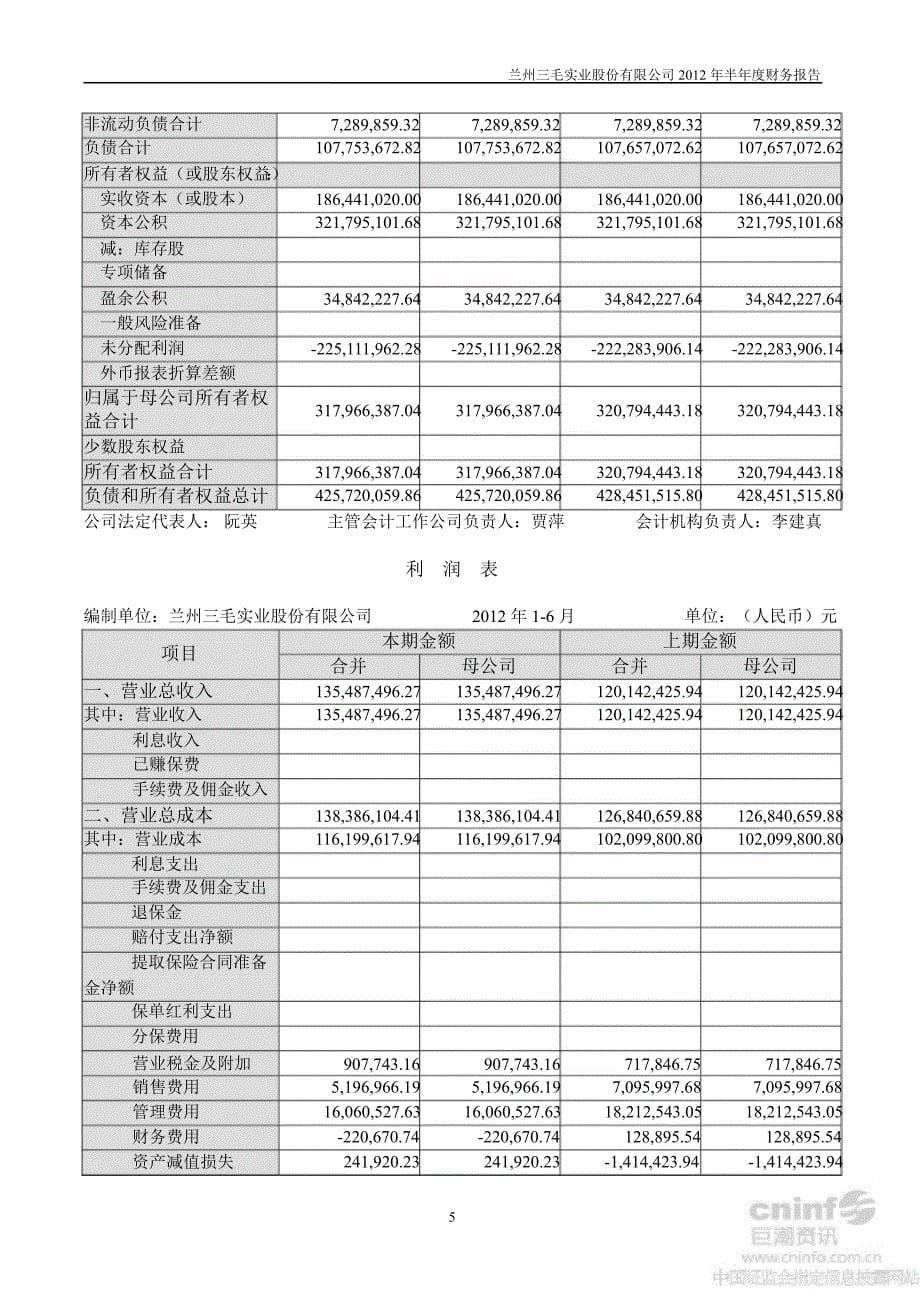 三毛派神半财务报告_第5页