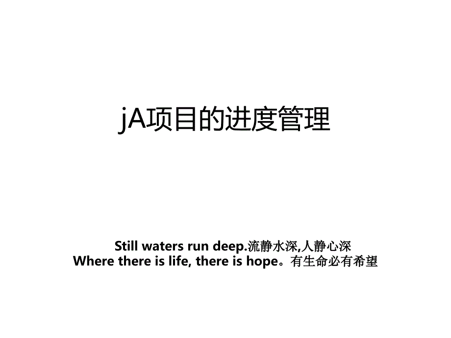 ja项目的进度_第1页