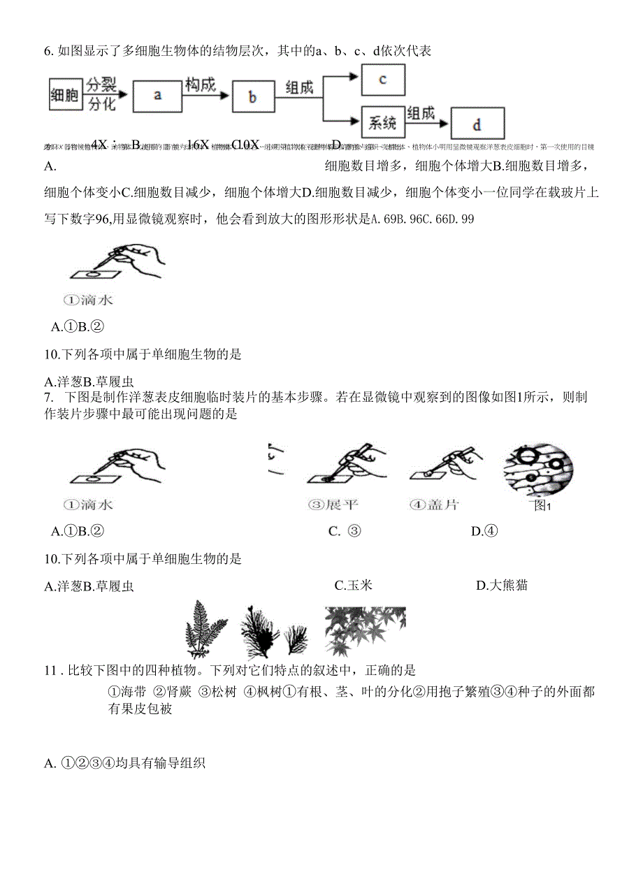 山东省济南市天桥区2021-2022学年七年级上学期期末考试生物试题.docx_第2页