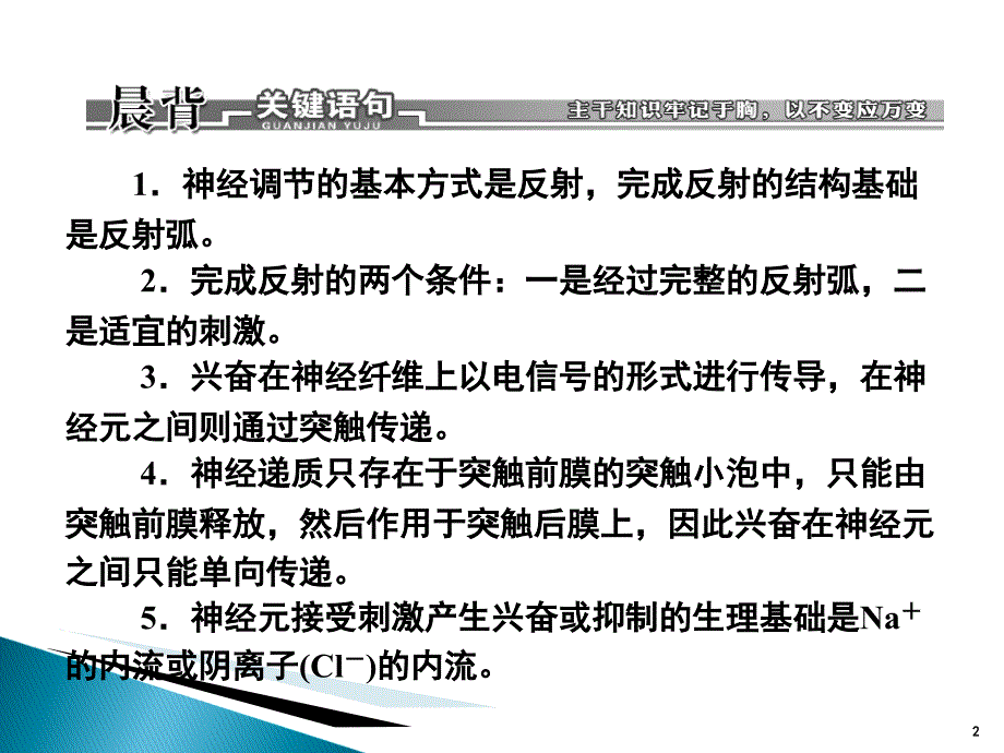 二轮复习专题人和动物生命活动的调节课堂PPT_第2页