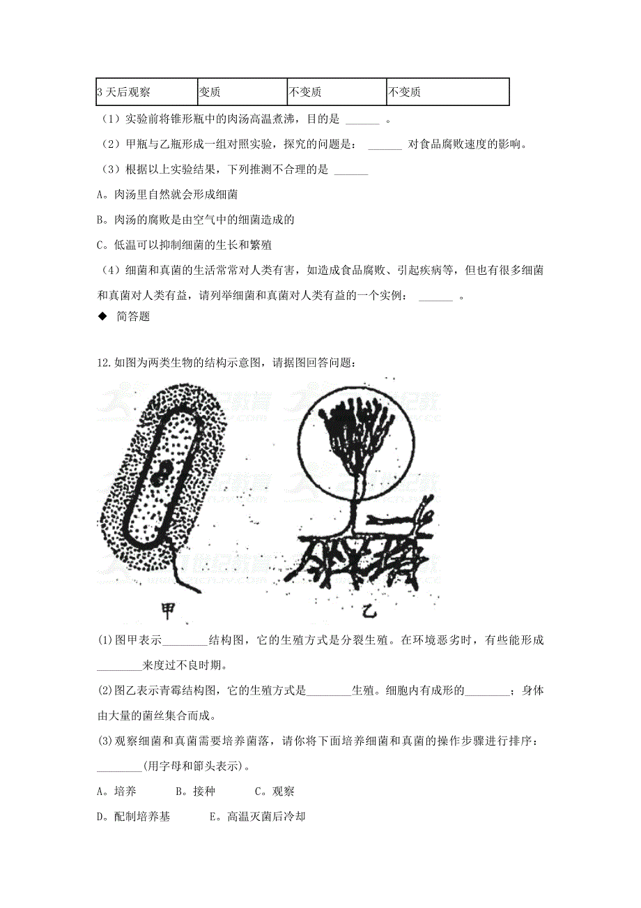 八年级生物上册5.4.1细菌和真菌的分布练习新版新人教版_第3页