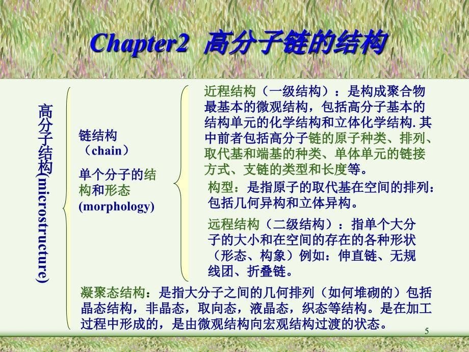 《高分子链的结构》PPT课件.ppt_第5页