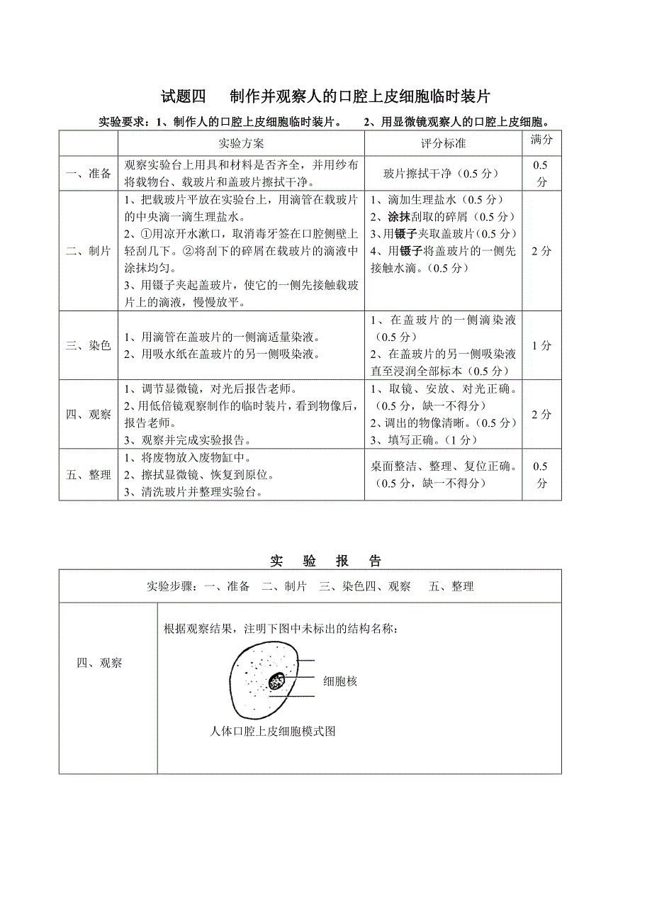 显微镜的使用及观察人血涂片.doc_第4页