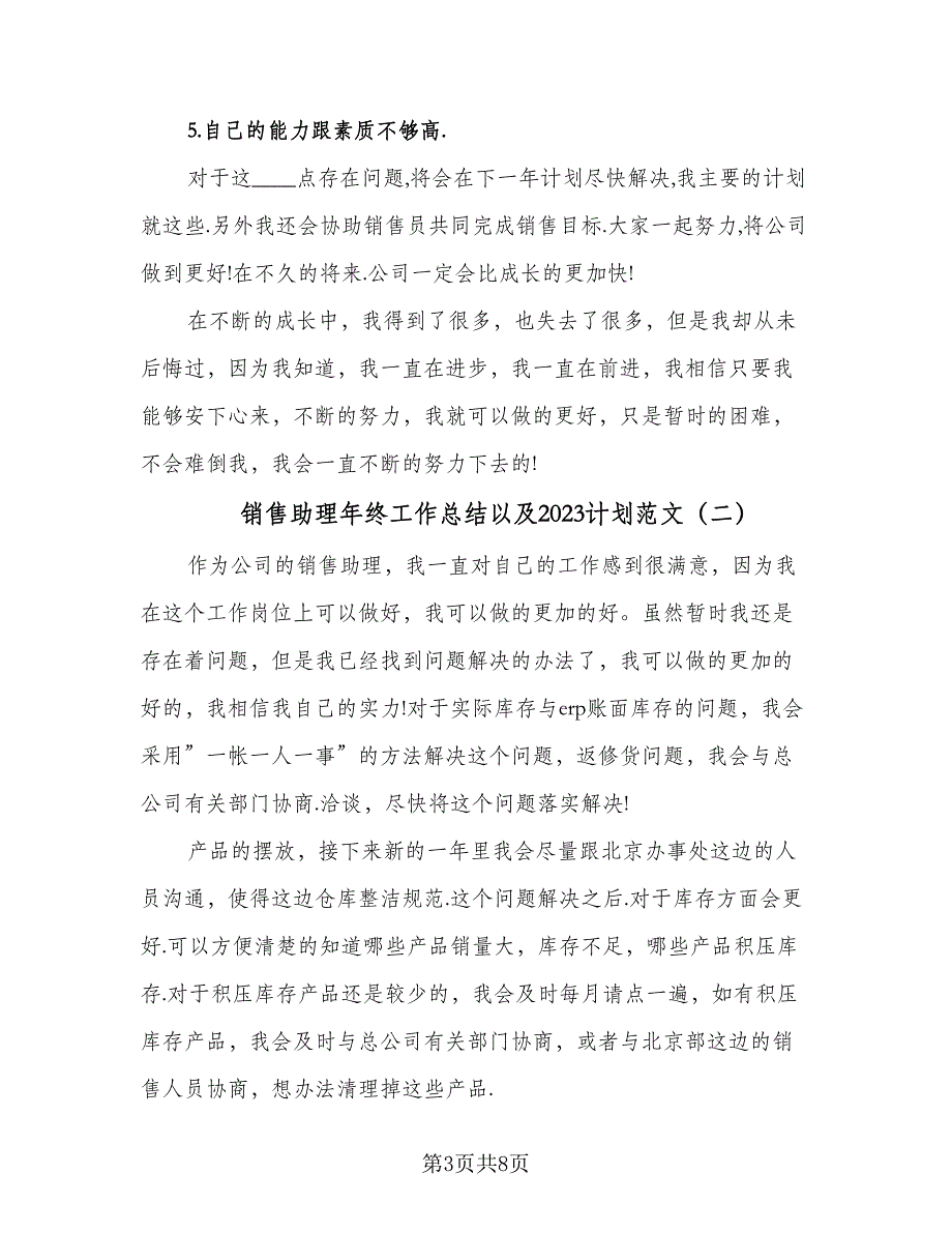 销售助理年终工作总结以及2023计划范文（3篇）.doc_第3页