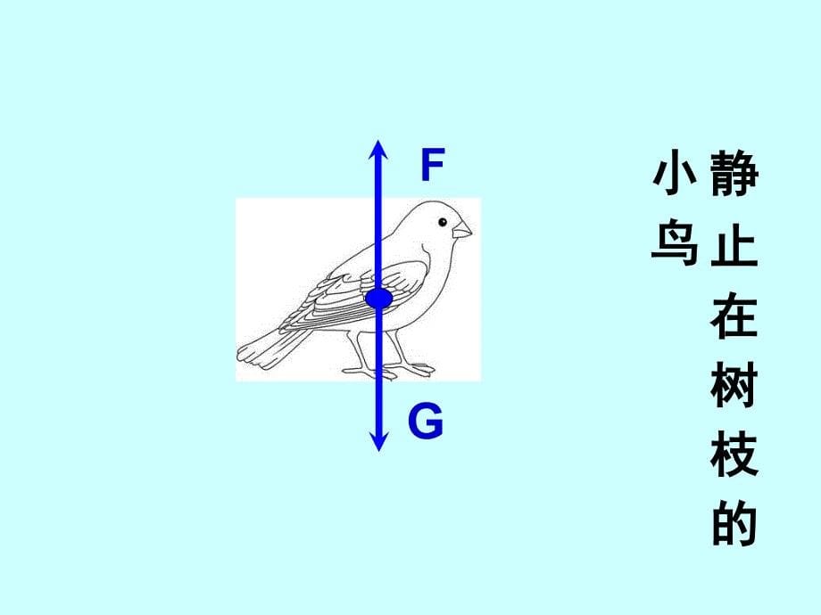 物体受力时怎样运动_第5页