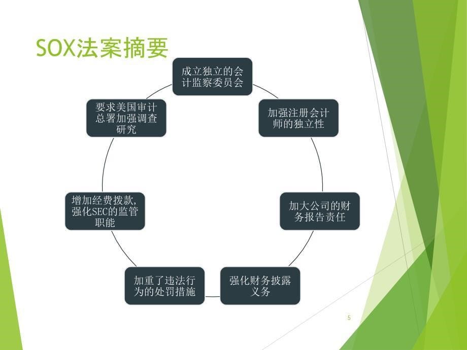 萨班斯法案课件_第5页