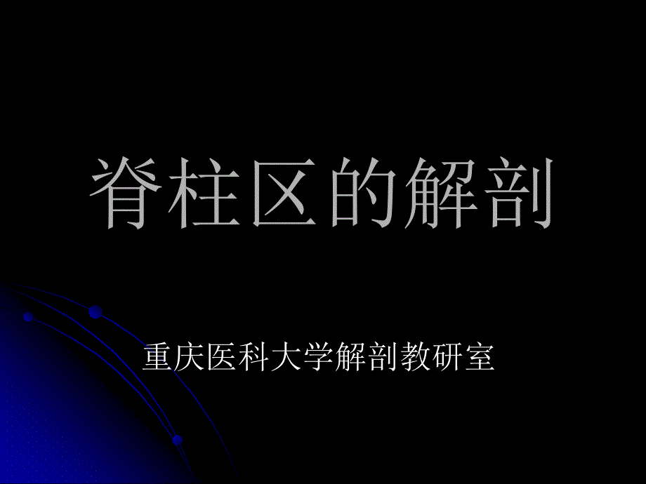 《脊柱区的解剖》PPT课件_第1页