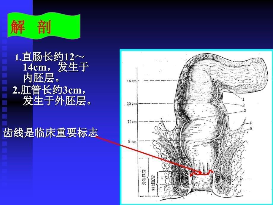 外科教研室制作_第5页