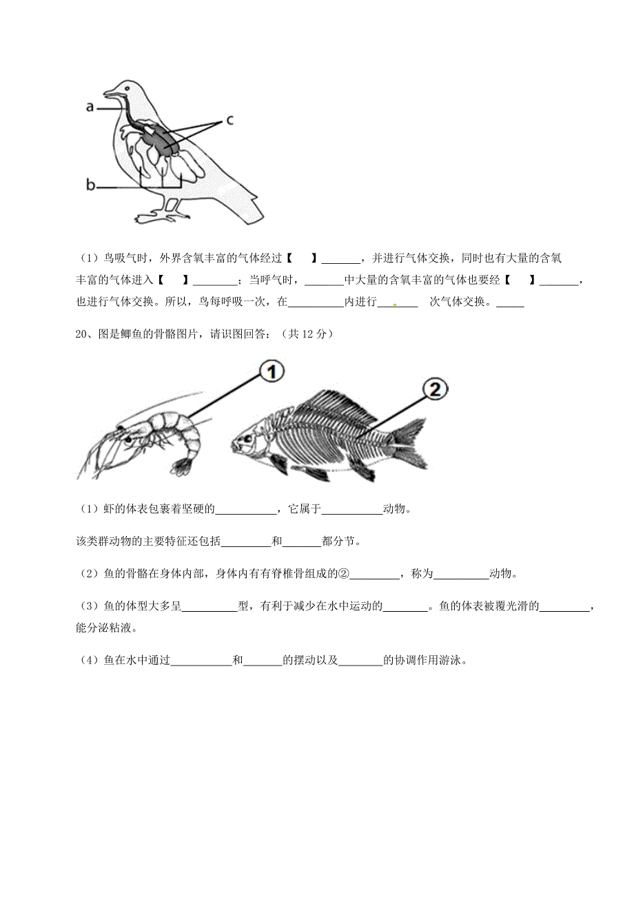 内蒙古乌海市第三中学八年级生物上学期第一次月考试题无答案新人教版_第4页