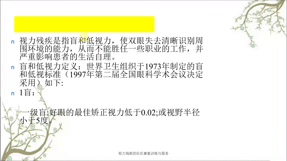 视力残疾的社区康复训练与服务_第3页