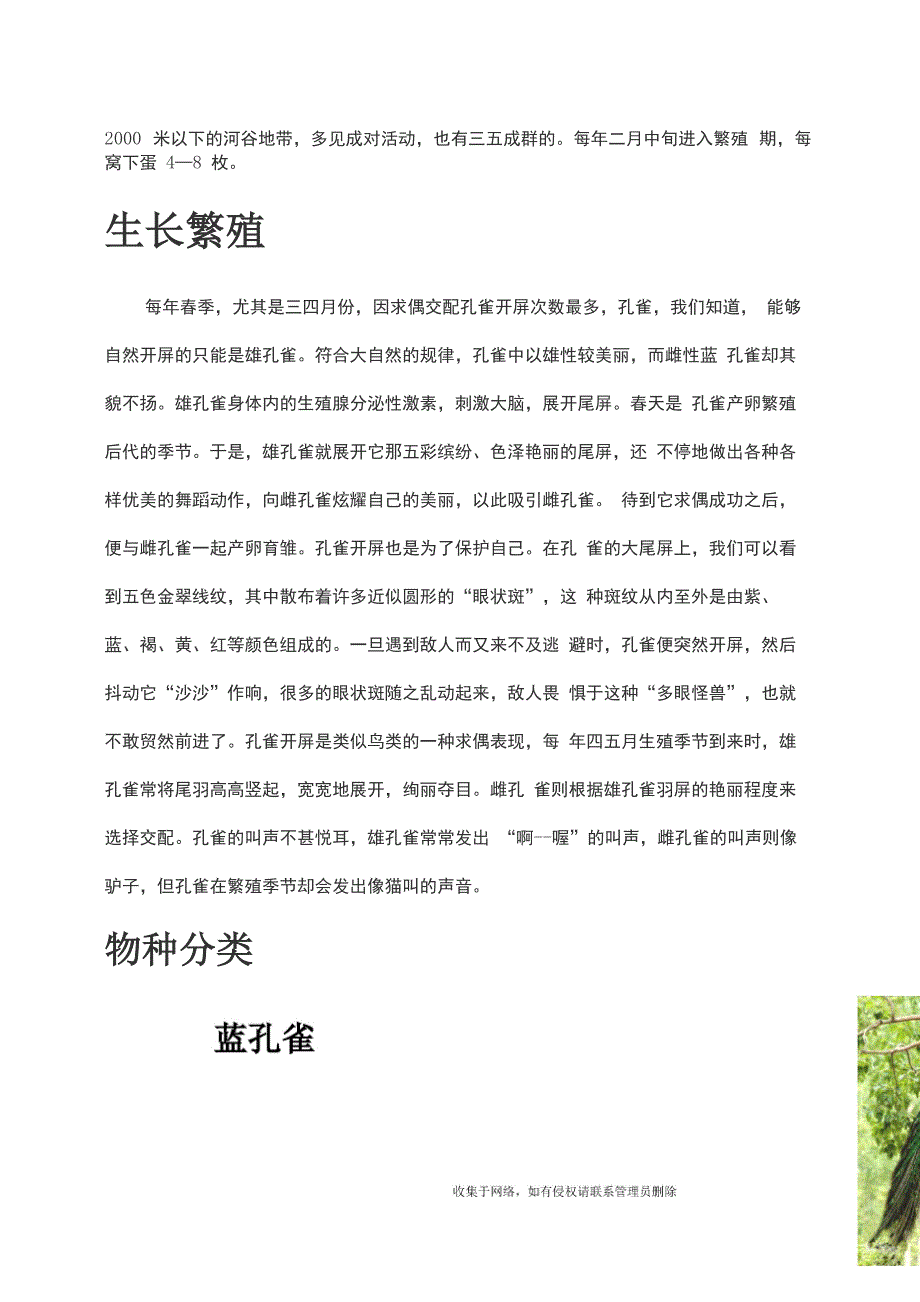 介绍孔雀知识讲解_第3页